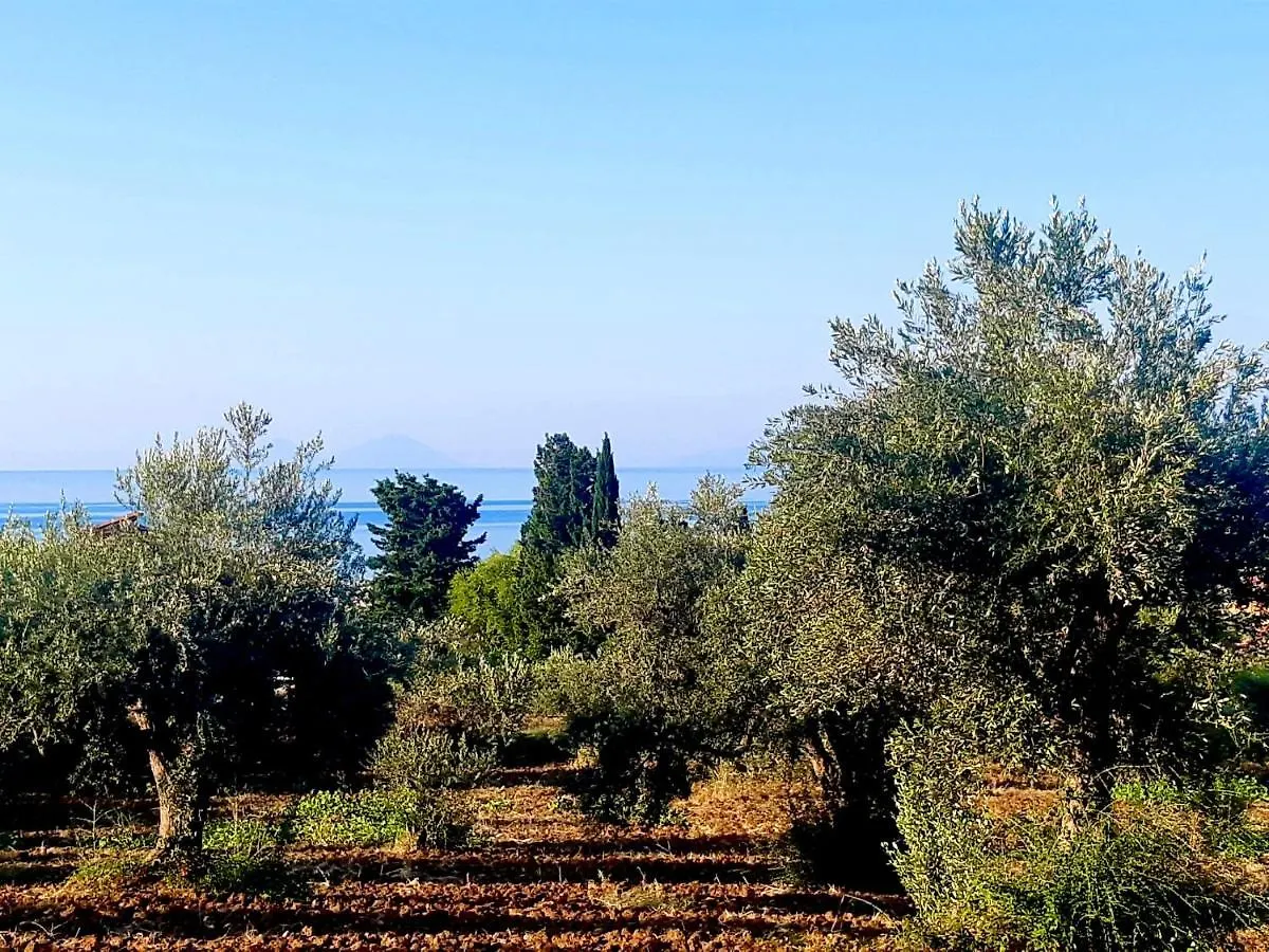 Relais Country House - Terrace On Aeolian Islands Acquedolci 0*,  Italy